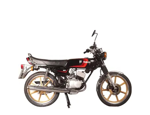 RD 50 M 1980-1984 (2E0, 2L4)