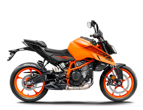 390 Hertog 2024-