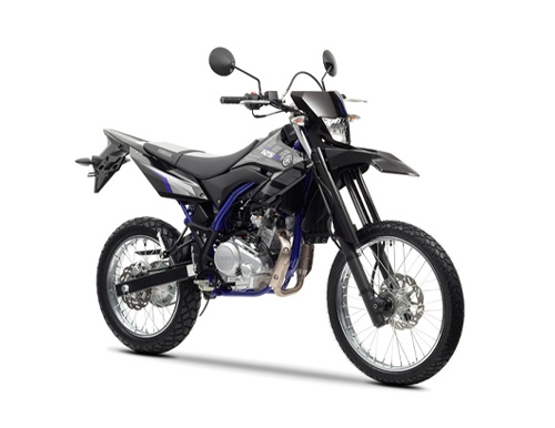 X 125 2013-2016