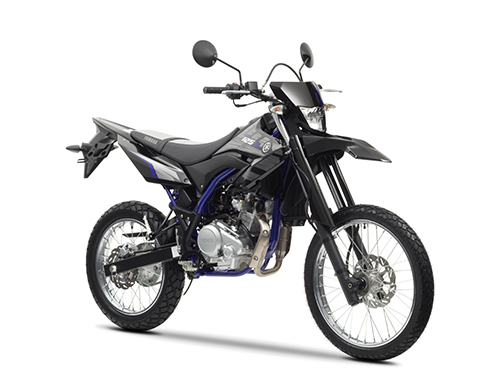 WR 125 R 2009-2017 (EN071, 22B)