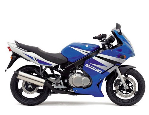 GS 500 F 2004-2008 (BK2321, BK4221)