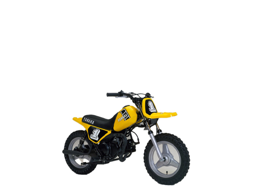 PW 50 1982- (4X4, 36E, 3AP, 3PT, 5PG, 2SA)