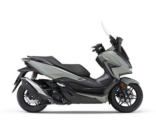 NSS 350 Forza 2021-2022 (NF10)