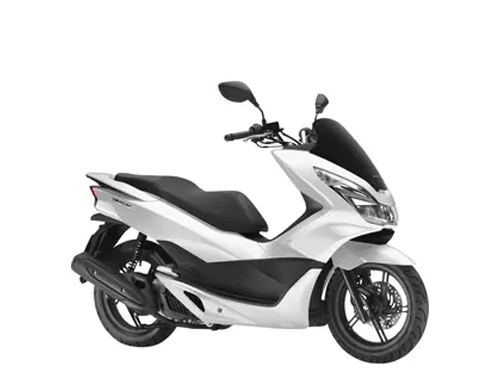 PCX 125 2010-2013 (JF28, JF47)