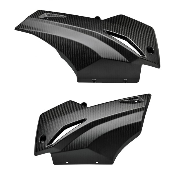 Carbon voorspoiler voor Aprilia RS 660 (20-23)